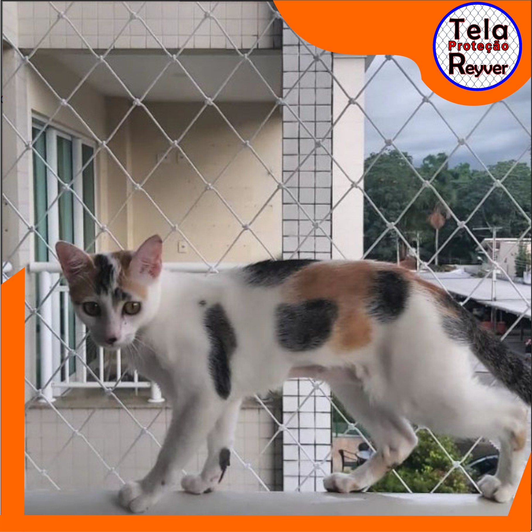 Tela de Proteção Reyver